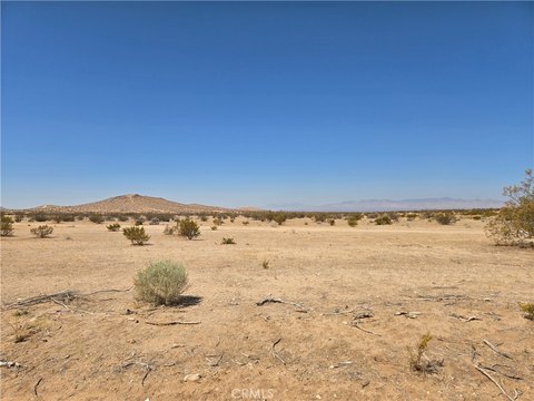 California City Land Investment
