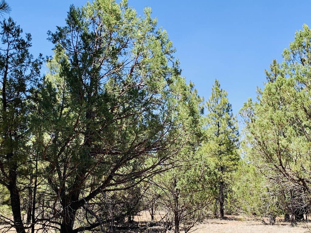 Picture 21