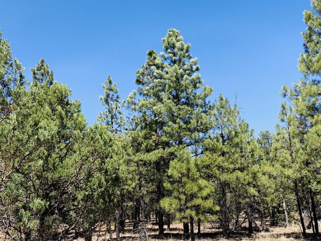 Picture 23