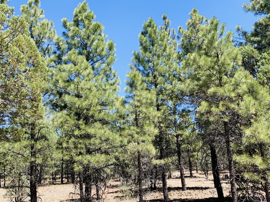 Picture 25