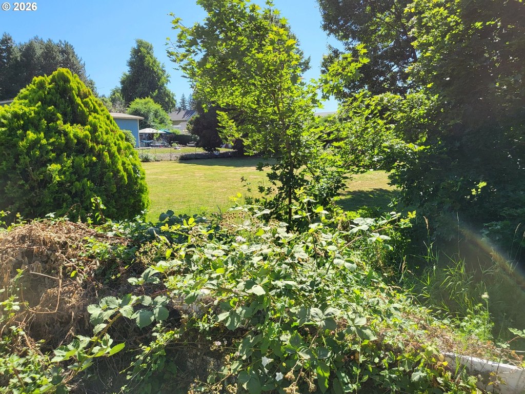 Picture 5