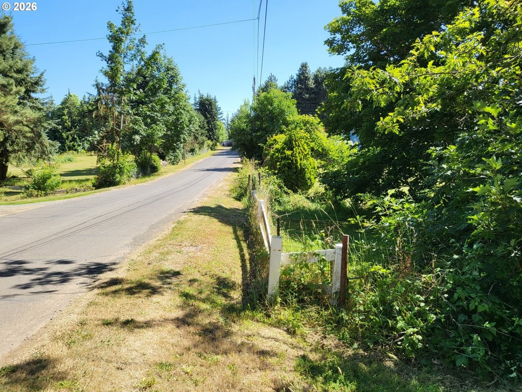 Picture 4