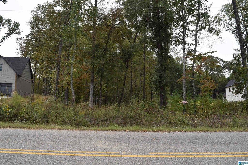 Picture 40