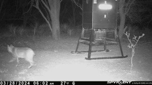 Picture 10