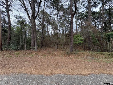 Residential Lot in Gated Community