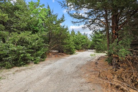 Scenic Agricultural Land with Mature Trees
