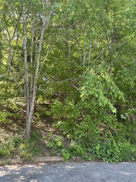 LAND - Ooltewah, TN