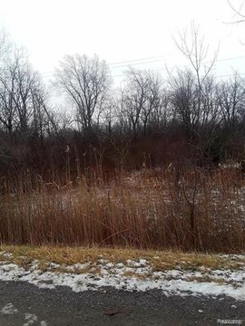 Residential Land in Grand Blanc
