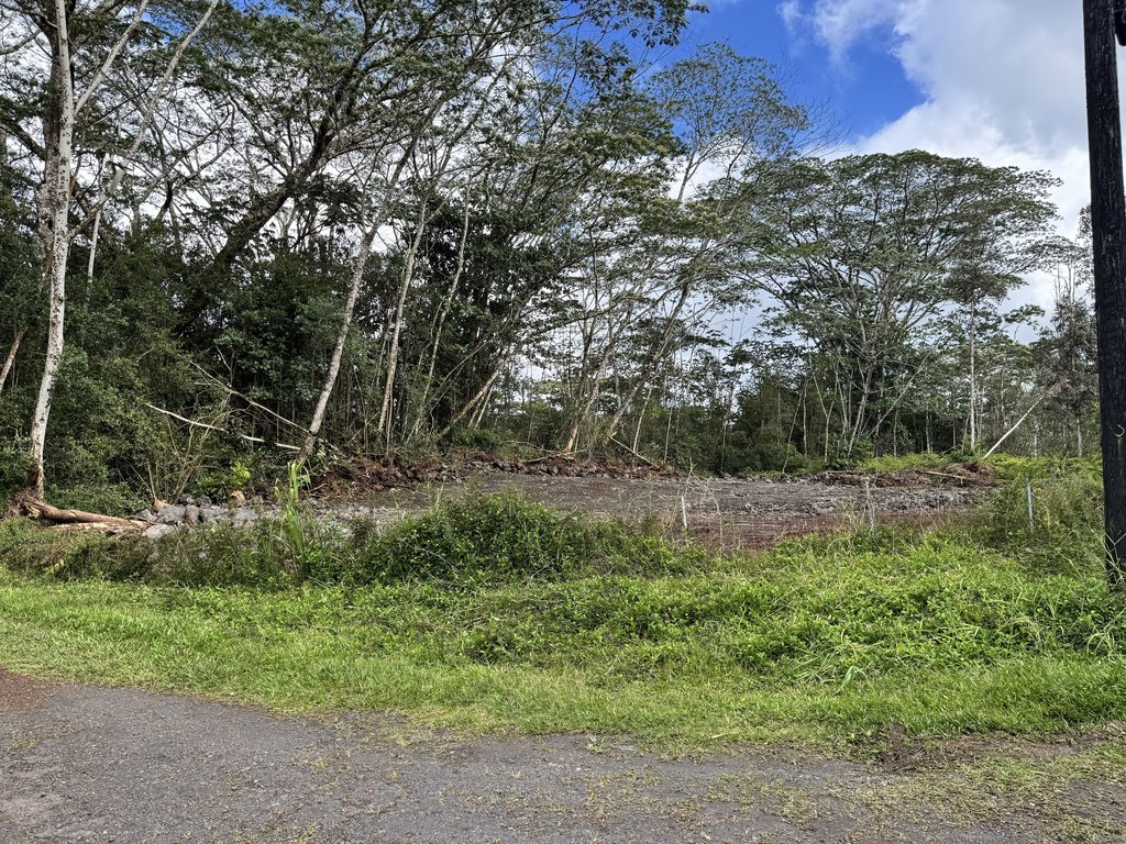Picture 25
