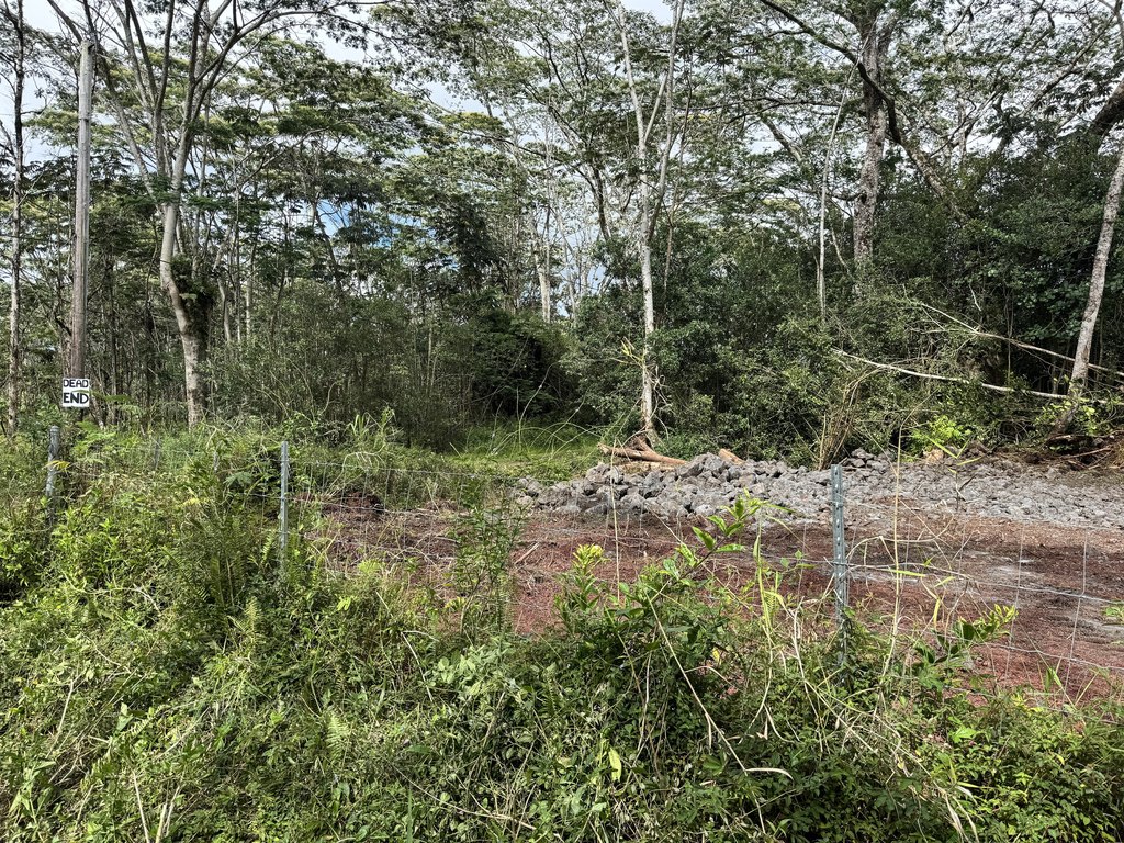 Picture 15