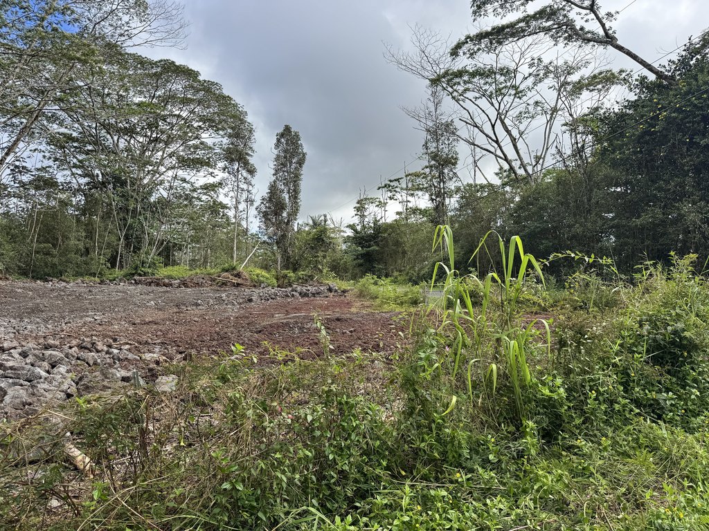Picture 22