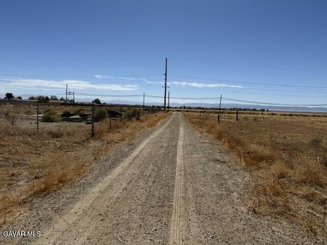 Picture 8