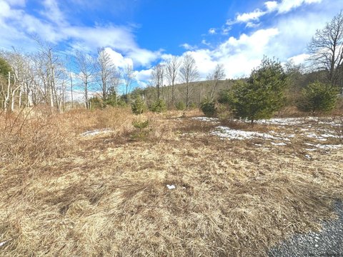 Land Near Yankeetown Pond