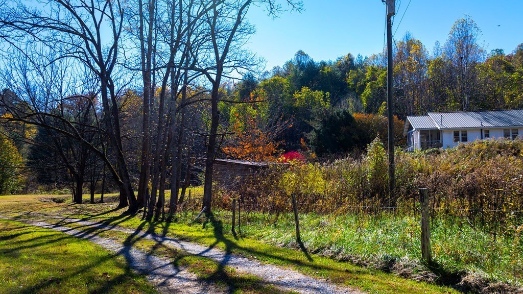 Picture 8