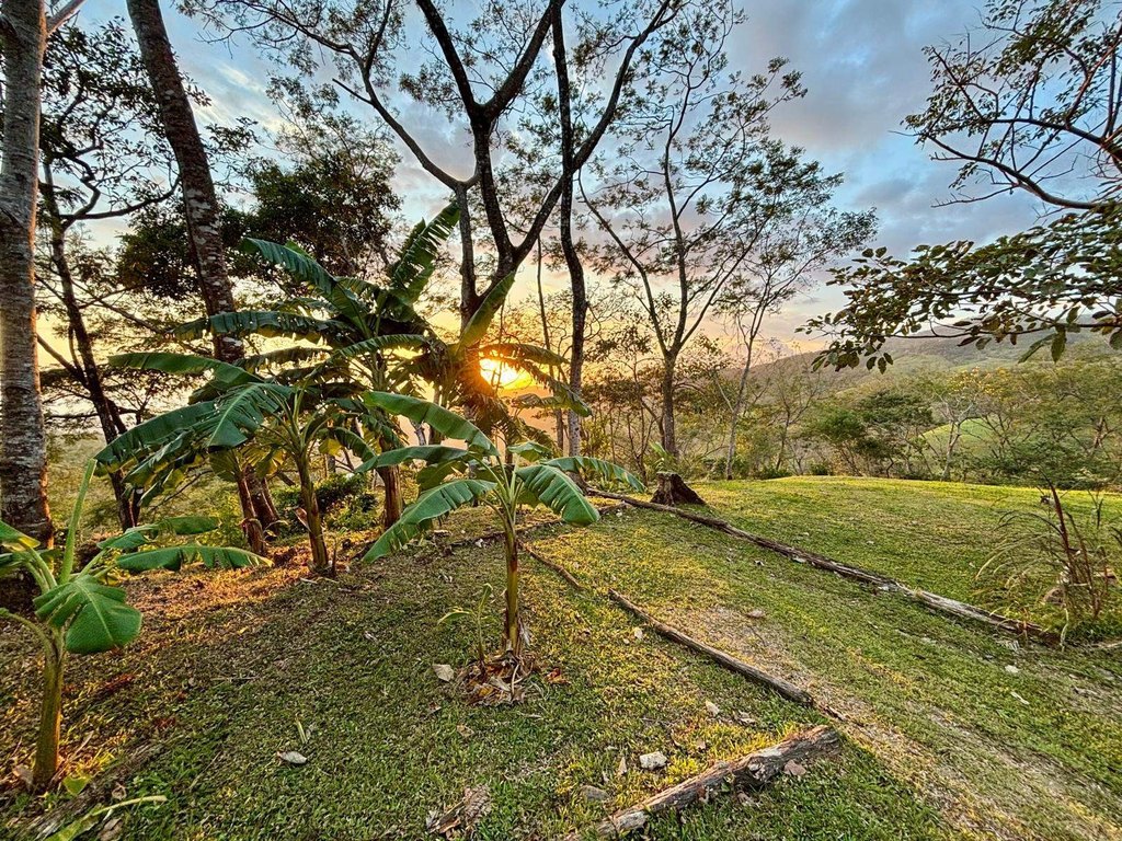 Picture 23