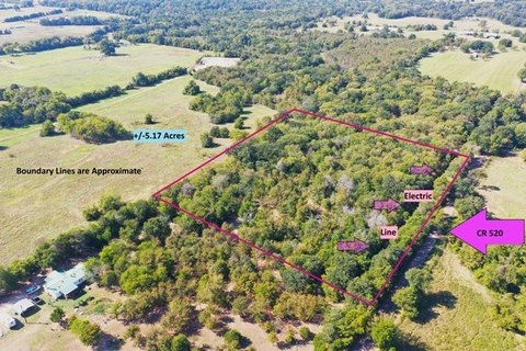 Unimproved Land in Fairfield, TX
