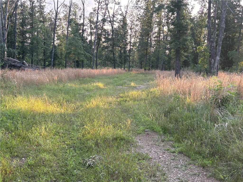 Picture 10