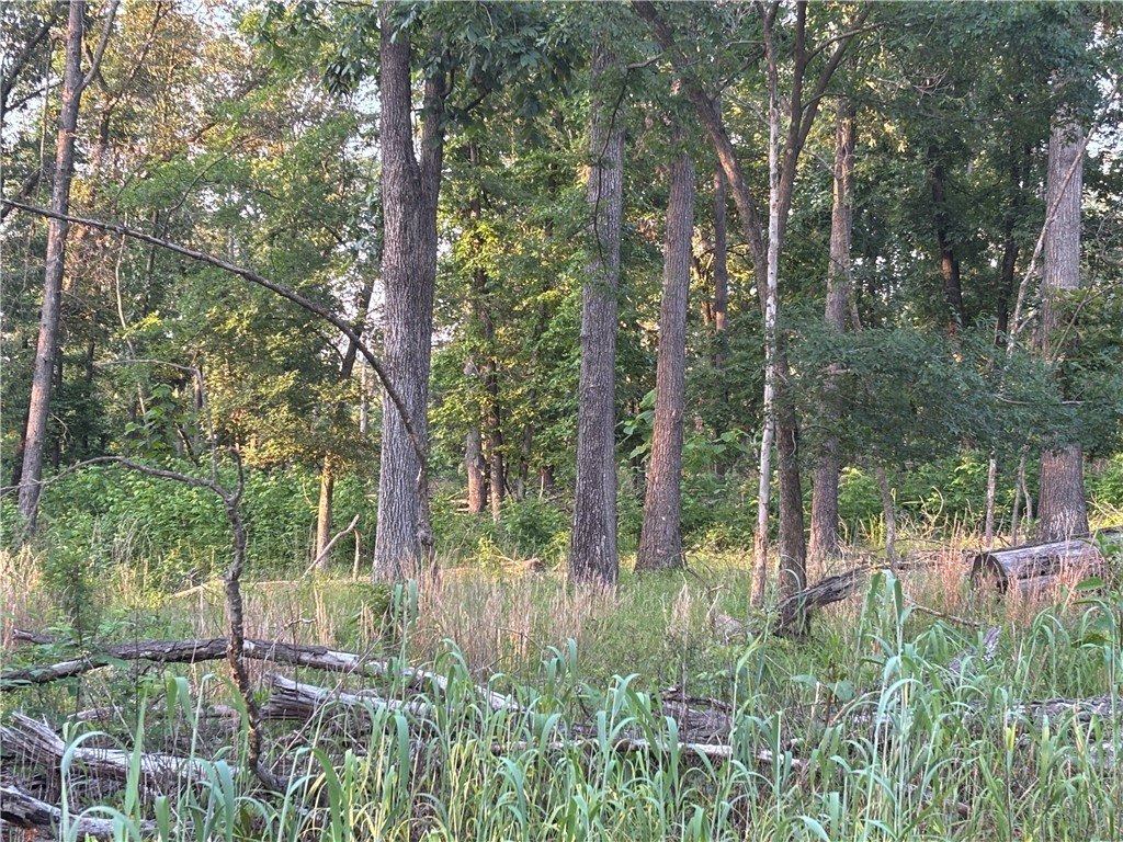 Picture 11