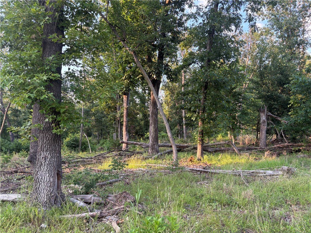 Picture 12