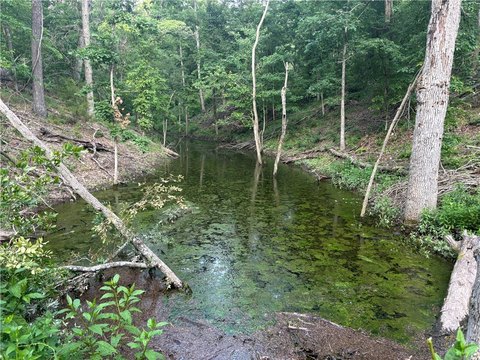 Residential Land And Home Lots
