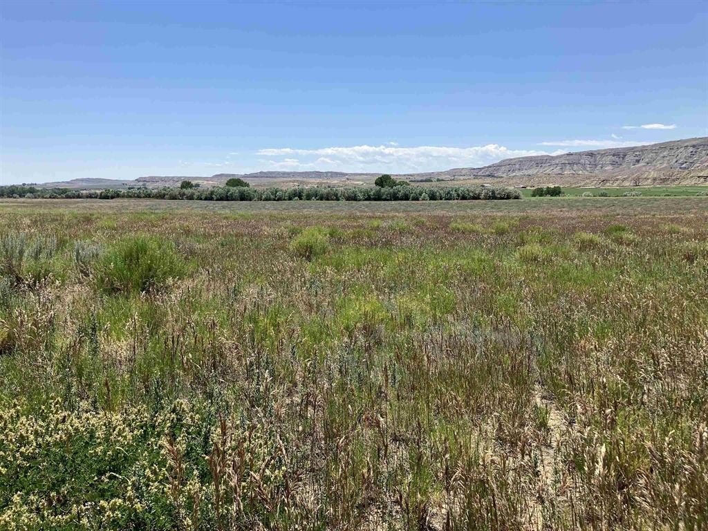 Picture 26