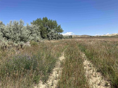 Irrigated Agricultural Land
