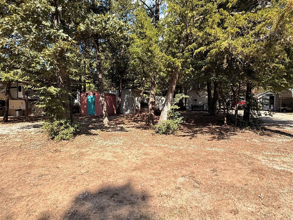 Picture 11