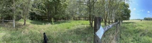 Picture 19