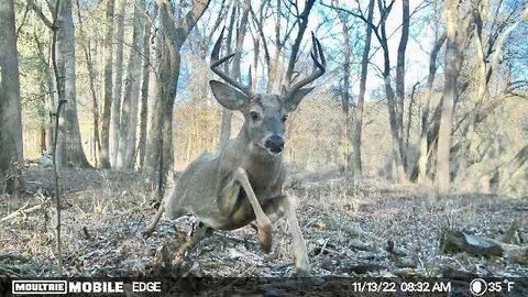 Land, Winder, GA