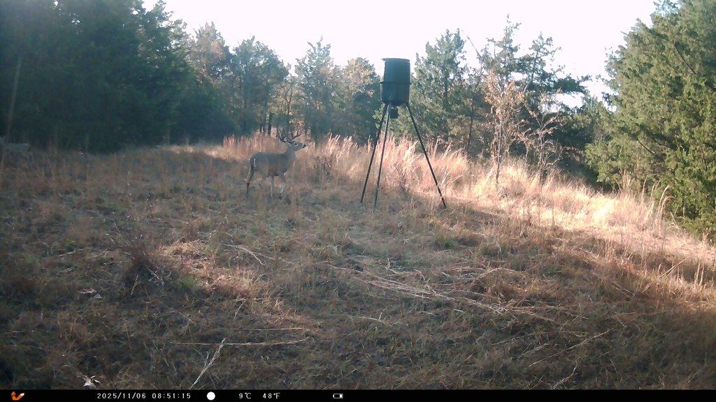 Picture 24