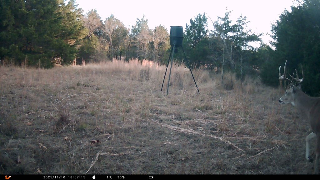 Picture 36