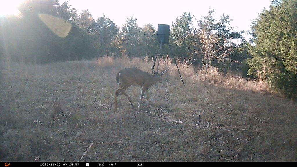 Picture 4