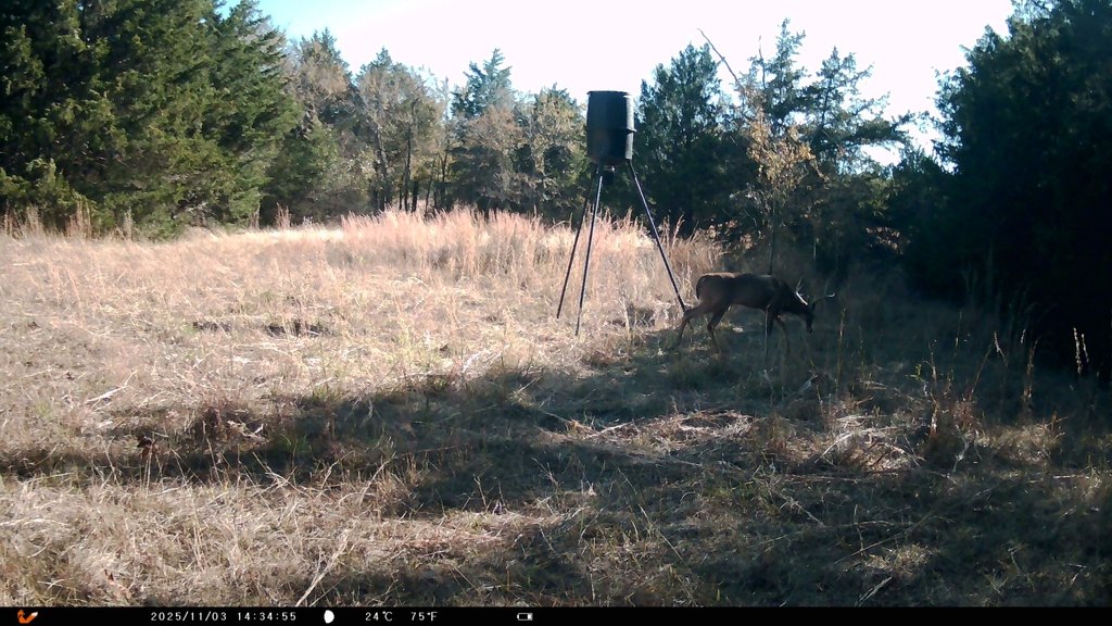 Picture 15