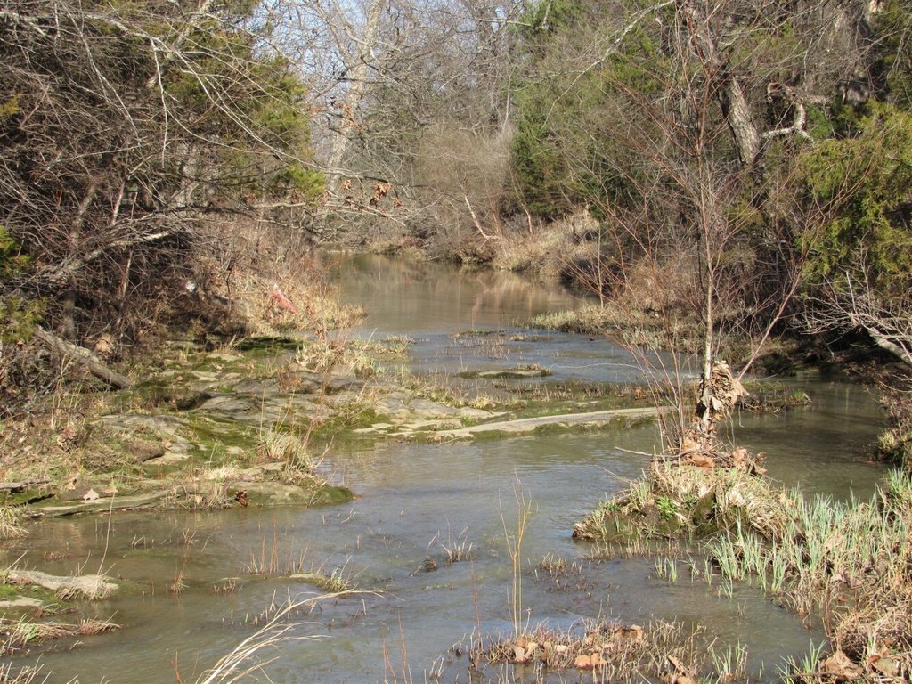 Picture 48