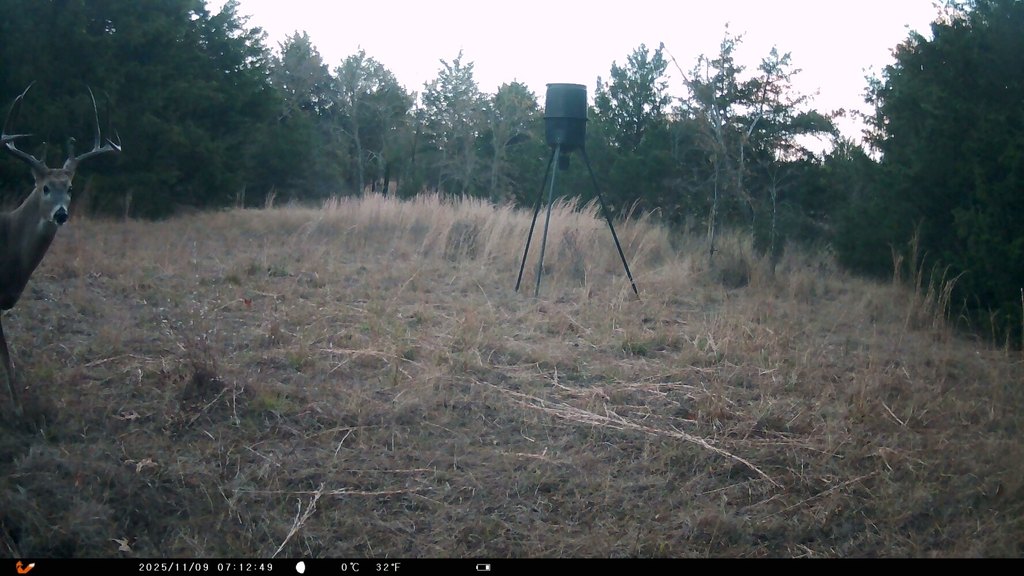 Picture 28