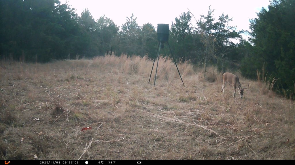 Picture 5