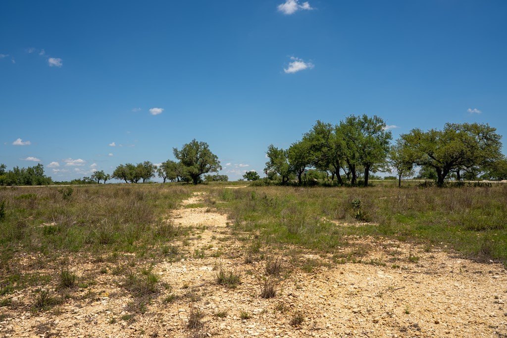 Picture 19