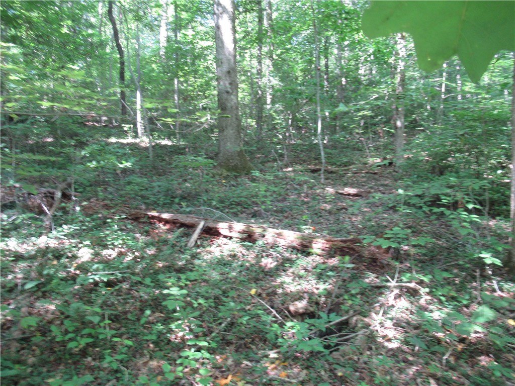Picture 18