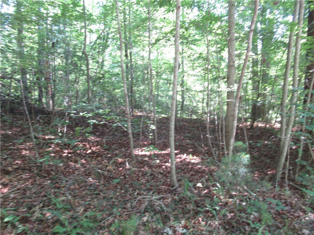 Picture 14