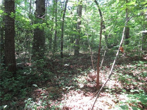 LAND - Pickens, SC
