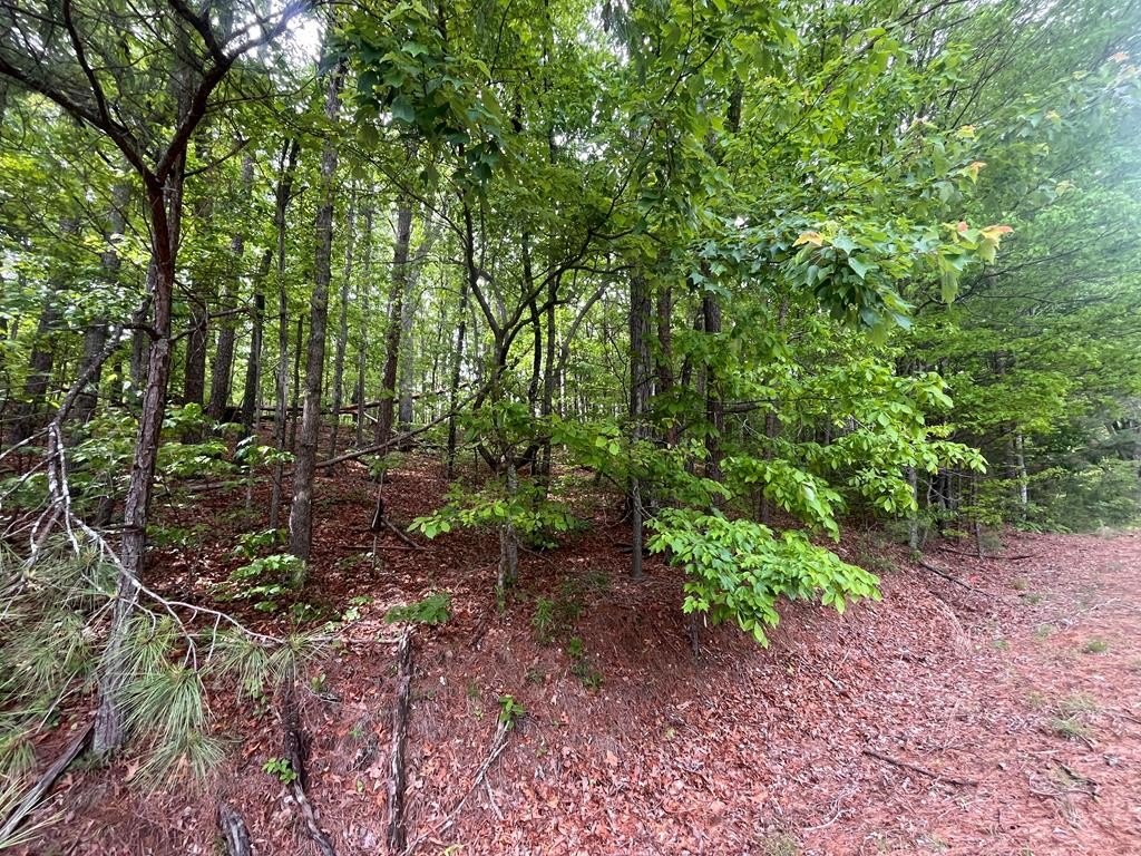 Picture 17