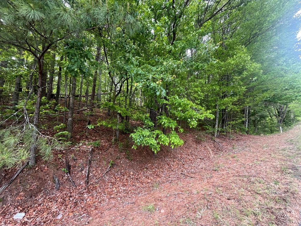 Picture 18