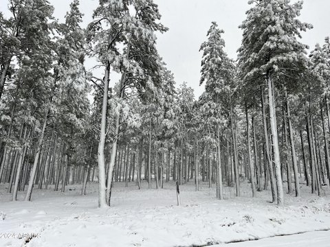 Pinetop Land in Gated Community