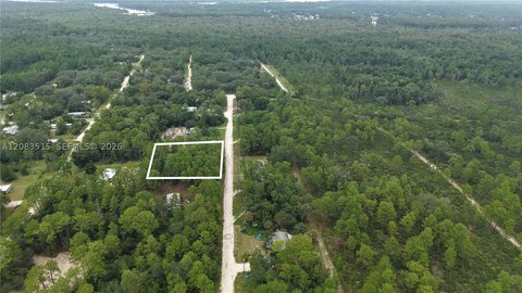 Land, FL