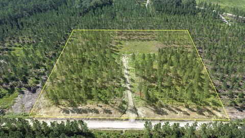 Land, Brunswick, GA