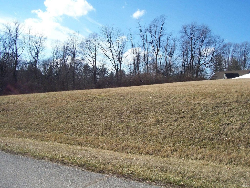 Picture 3