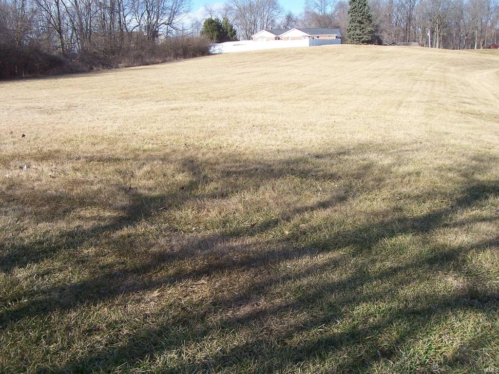 Picture 4