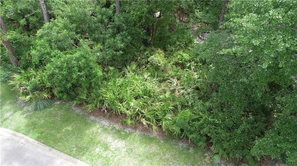Picture 8