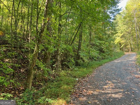 Land in North GA Mountains