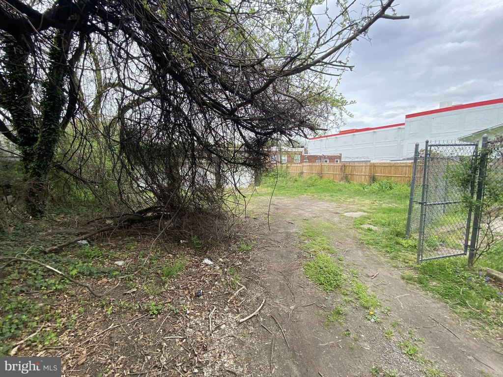 Picture 48